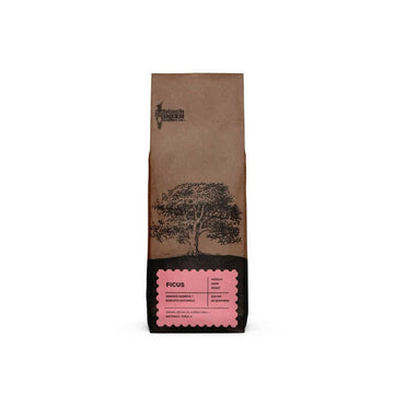 Black Baza Coffee Ficus