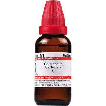 Dr. Willmar Schwabe India Chimaphila Umbellata Mother Tincture Q