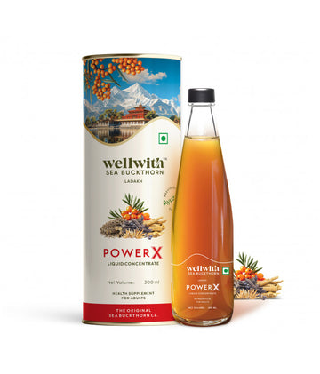 WellWith Himalayan Sea Buckthorn Power X - Increases Energy and Stamina