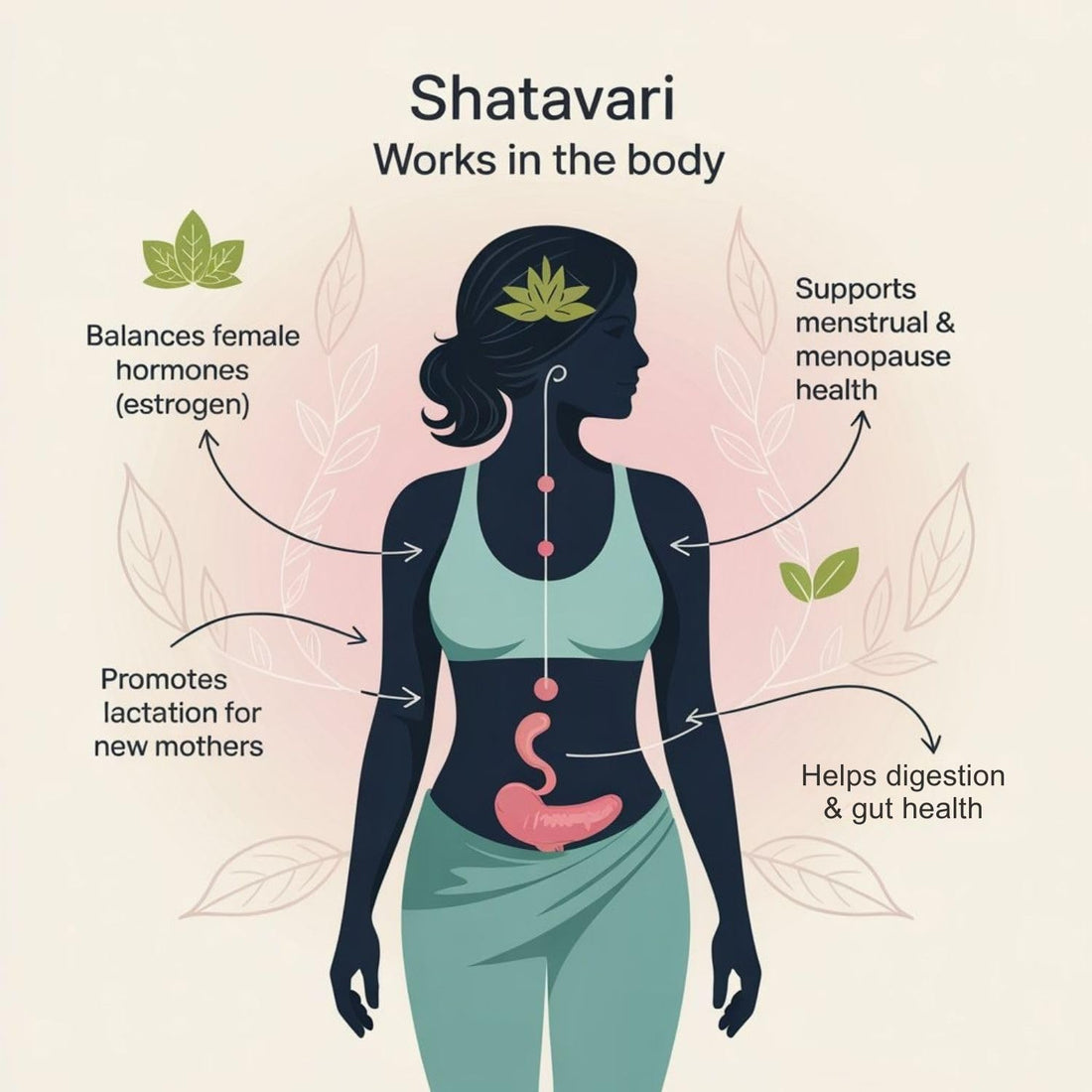 House of Ayurved Shatavari Powder Pure & Natural | Women’s Wellness & Hormonal Balance