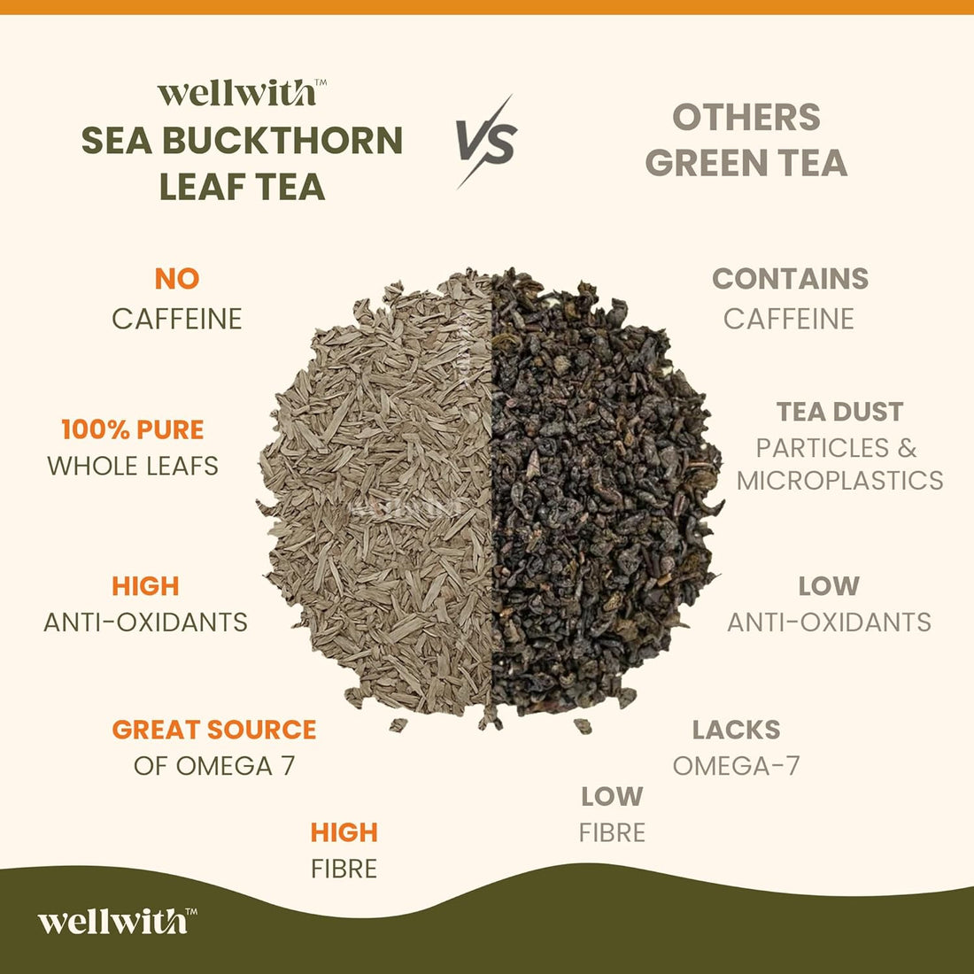 WellWith Himalayan Sea Buckthorn Raw Leaves Tea - Himalayan Herbal Leaf Tea | Good for Skin, Immunity & Detox