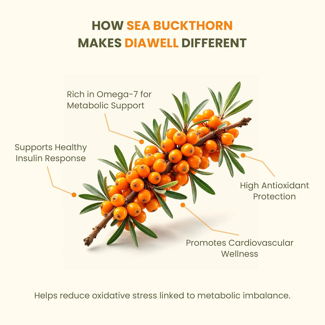 WellWith Himalayan Sea Buckthorn DiaWell - Blood Sugar Balance, Immunity & Daily Energy Support
