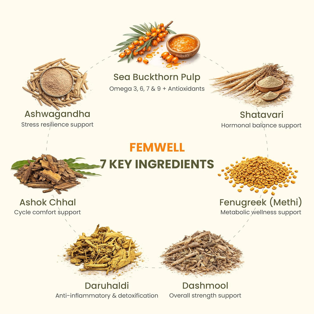 WellWith Himalayan Sea Buckthorn FemWell - Pulp Juice For Women Wellness