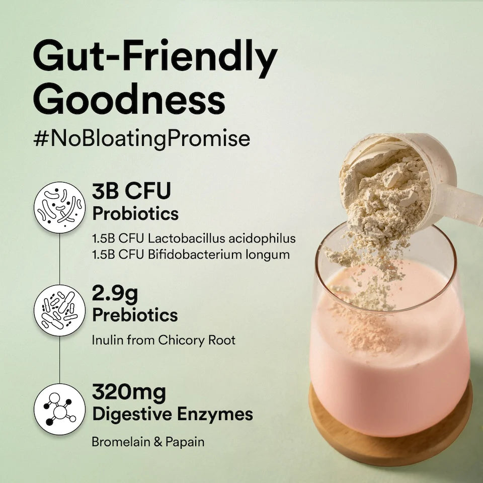 Wellbeing Nutrition Superfood Plant Protein 22g | 3B CFU Probiotics | Vegan Protein - Canadian Mixed Berry