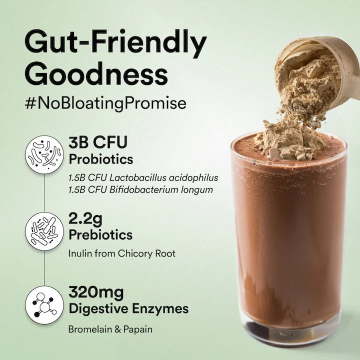 Wellbeing Nutrition Superfood Plant Protein 22g | 3B CFU Probiotics | Vegan Protein - Belgian Dark Chocolate