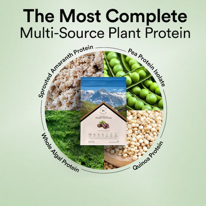 Wellbeing Nutrition Superfood Plant Protein 22g | 3B CFU Probiotics | Vegan Protein - Italian Cafe Mocha
