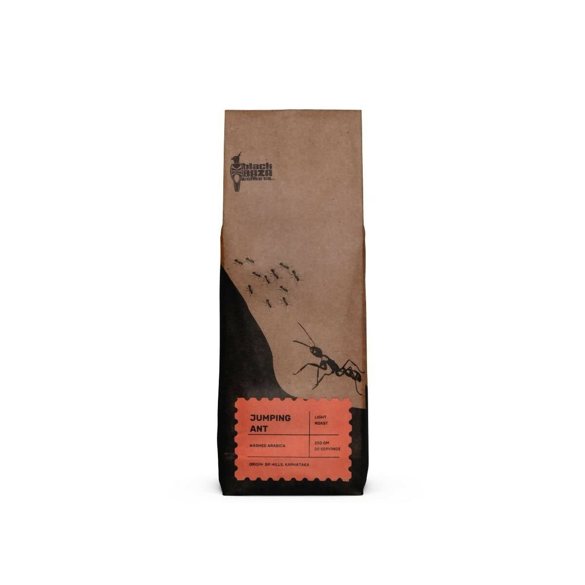Black Baza Coffee Jumping Ant