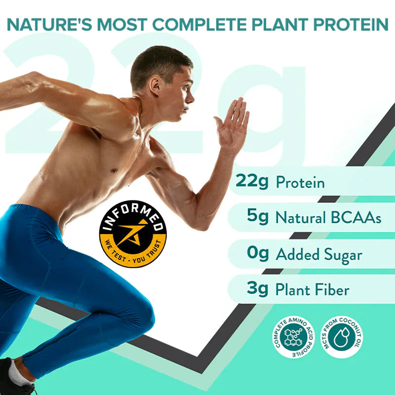 Wellbeing Nutrition Superfood Plant Protein Vegan Protein - British Banoffee Pie