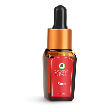 Organic Harvest Rose Essential Oil