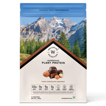 Wellbeing Nutrition Superfood Plant Protein 22g | 3B CFU Probiotics | Vegan Protein - Dark Chocolate Hazelnut