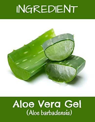 MR Ayurveda Aloe Vera Gel