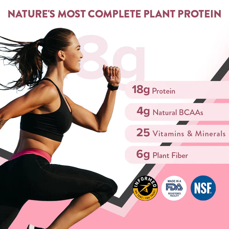 Wellbeing Nutrition Her Superfood Plant Protein | Vegan Protein - Chocolate Peanut Butter