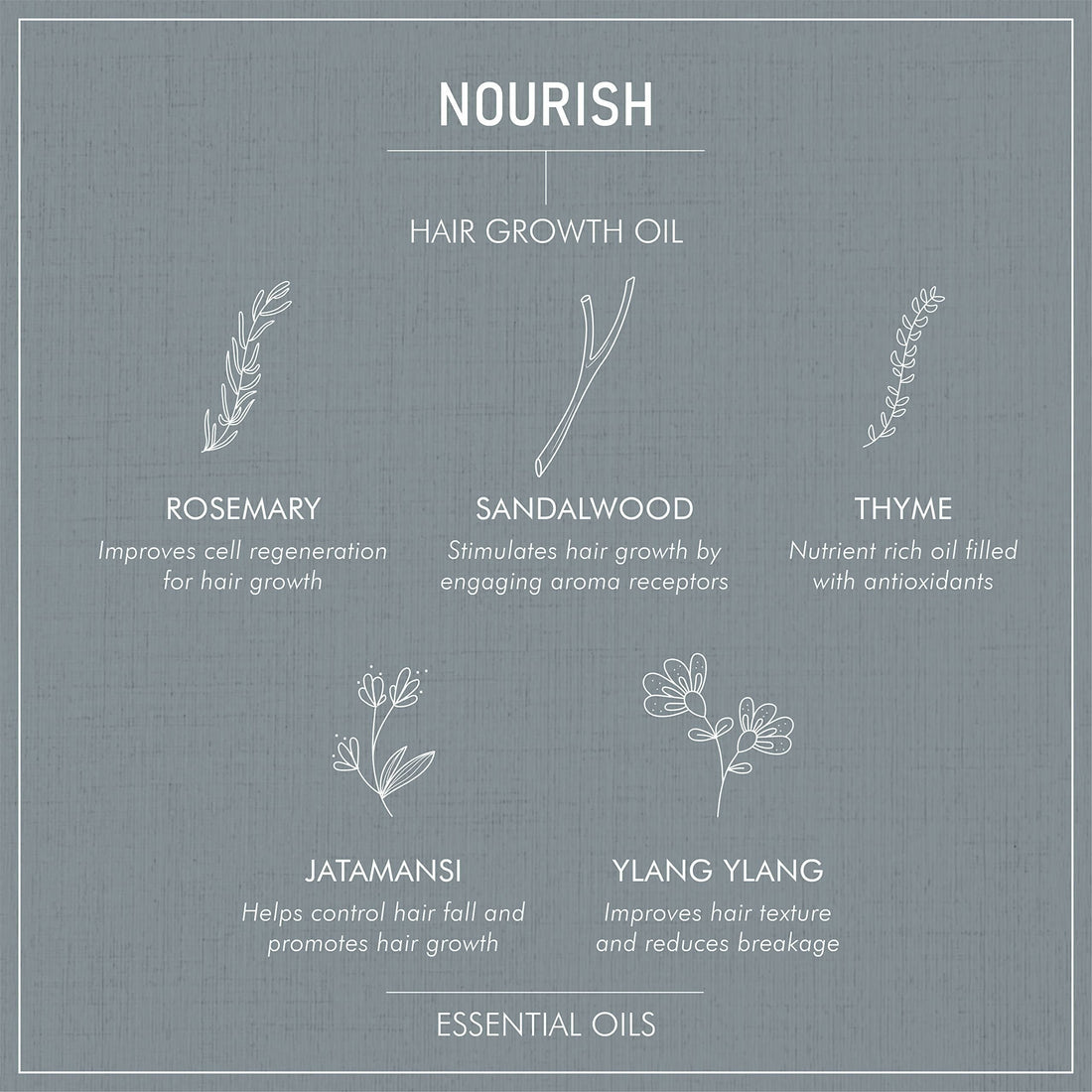 Secret Alchemist Nourish Hair Growth Oil