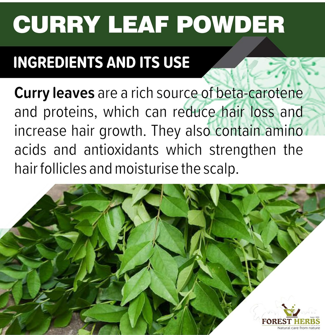 Forest Herbs Curry Leaves Hair Care Powder