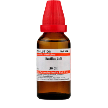 Dr. Willmar Schwabe India Bacillus Coli Dilution