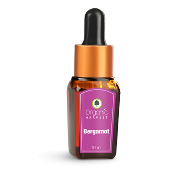 Organic Harvest Bergamot Essential Oil