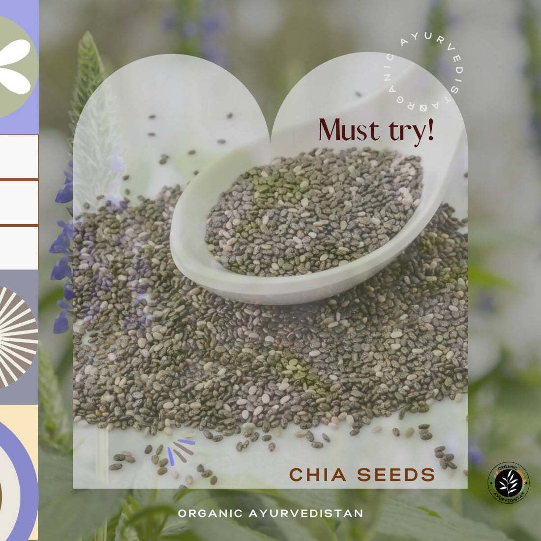 Organic Ayurvedistan Chia Seeds