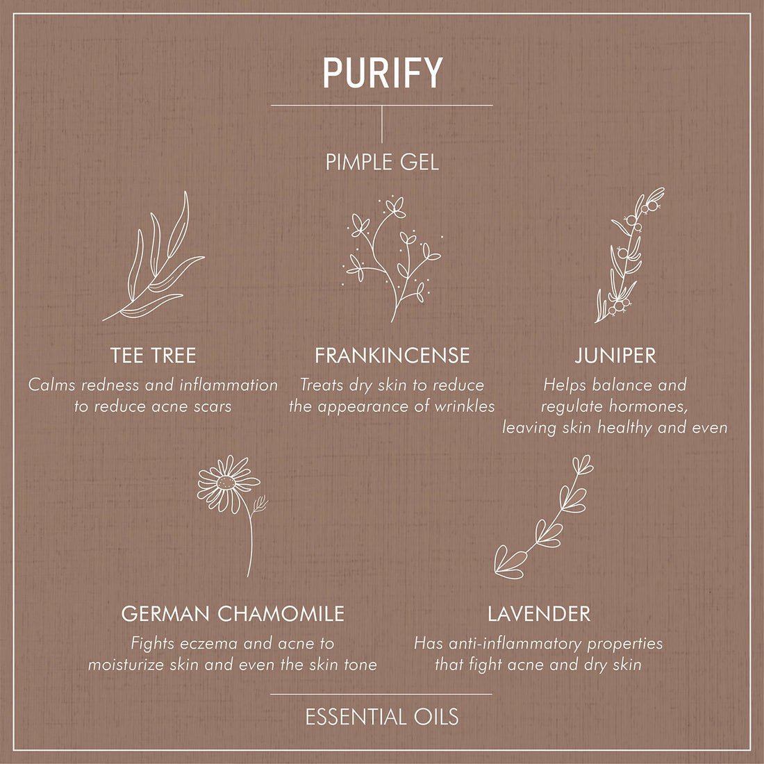 Secret Alchemist Purify Pimple Gel
